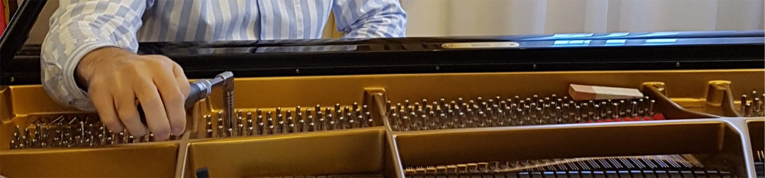 Tuning and Repair Services for grand and upright pianos